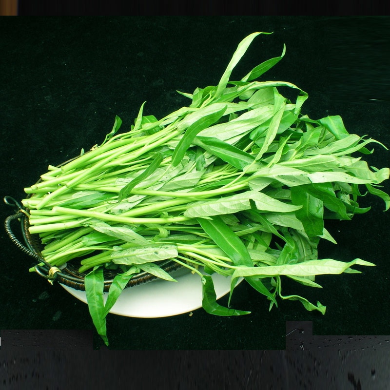 通心菜